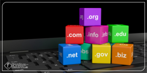 Contoh Nama Domain yang Bagus