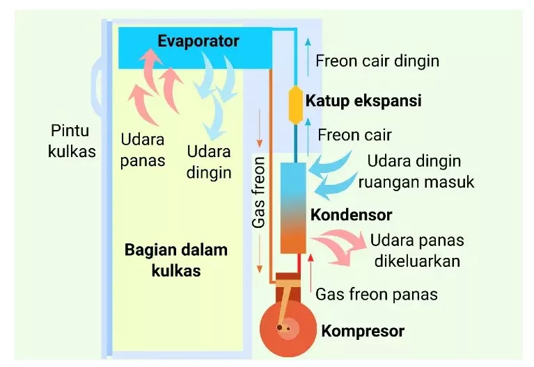 Skema Kelistrikan Kulkas 2 Pintu