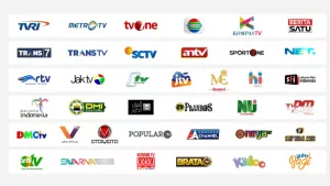 Ninmedia Vs K Vision