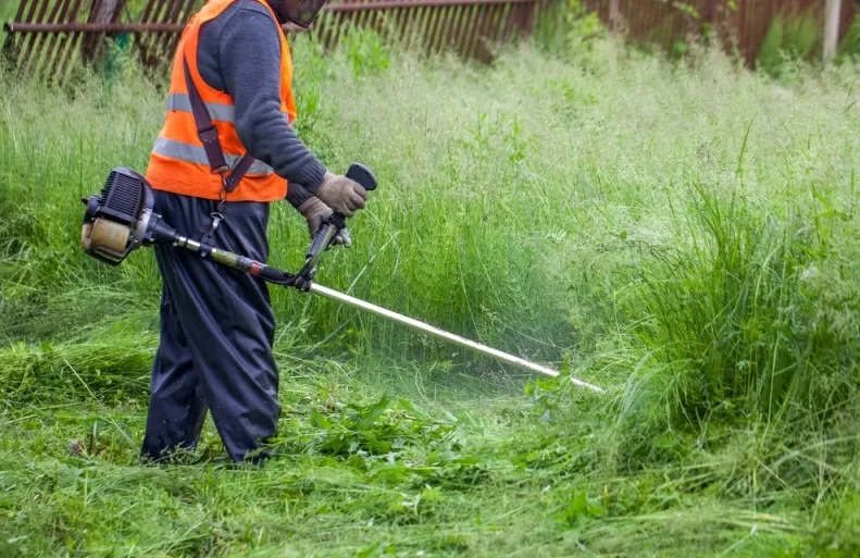 Bagian Lengkap Mesin Potong Rumput