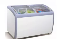 Mengenal Freezer Box