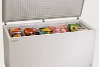 Kelebihan dan Kekurangan Freezer Box
