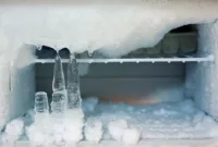 Bahaya Bunga Es Di Kulkas
