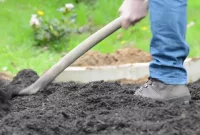 Cara Menyuburkan Tanah di Depan Rumah